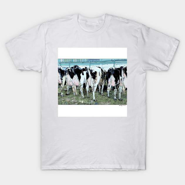 Cows T-Shirt by WendiStrangFrost